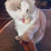 ヒメ日記 2025/09/06 07:49 投稿 みゆき 石亭