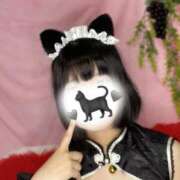 ヒメ日記 2025/06/29 12:34 投稿 松島 みか ハレ系 メイドin福岡