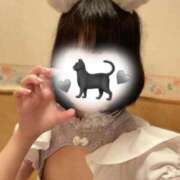 ヒメ日記 2025/11/20 11:30 投稿 松島 みか ハレ系 メイドin福岡