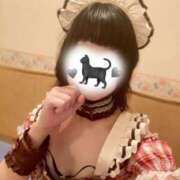 ヒメ日記 2025/12/05 11:30 投稿 松島 みか ハレ系 メイドin福岡