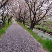 ヒメ日記 2025/04/11 12:03 投稿 浜田(はまだ) 八王子人妻城