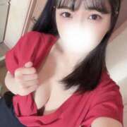 ヒメ日記 2025/04/02 17:33 投稿 椿（つばき） 男爵