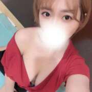 ヒメ日記 2025/04/26 17:34 投稿 椿（つばき） 男爵