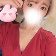 ヒメ日記 2025/05/01 11:19 投稿 椿（つばき） 男爵