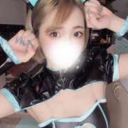 ヒメ日記 2025/05/22 14:34 投稿 椿（つばき） 男爵