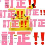 ヒメ日記 2026/01/23 18:21 投稿 椿（つばき） 男爵