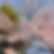 ヒメ日記 2026/03/03 17:00 投稿 ひよ ビデオdeはんど 町田校