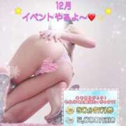 ヒメ日記 2024/12/07 23:33 投稿 かれん とろける時間～脳バク♡エステ～