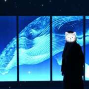 ヒメ日記 2024/12/10 10:03 投稿 かれん とろける時間～脳バク♡エステ～