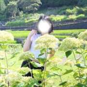 ヒメ日記 2026/08/13 11:03 投稿 かれん とろける時間～脳バク♡エステ～