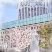 ヒメ日記 2025/03/31 17:30 投稿 りえこ 奥鉄オクテツ兵庫