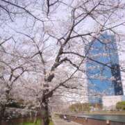 ヒメ日記 2025/04/02 16:10 投稿 りえこ 奥鉄オクテツ兵庫