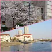 ヒメ日記 2025/04/08 18:35 投稿 りえこ 奥鉄オクテツ兵庫