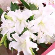 ヒメ日記 2025/07/11 16:20 投稿 りえこ 奥鉄オクテツ兵庫