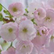 ヒメ日記 2025/05/22 17:50 投稿 りえこ 奥鉄オクテツ奈良