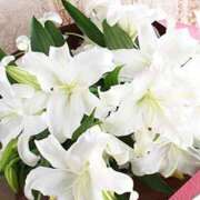 ヒメ日記 2025/08/09 11:50 投稿 りえこ 奥鉄オクテツ奈良