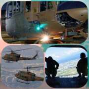 ヒメ日記 2025/08/11 17:55 投稿 りえこ 奥鉄オクテツ奈良