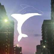 ヒメ日記 2025/04/02 16:46 投稿 はるかぜ 2980円