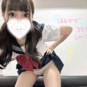 ヒメ日記 2025/04/12 20:46 投稿 はるかぜ 2980円