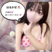 ヒメ日記 2025/05/28 18:04 投稿 はるかぜ 2980円