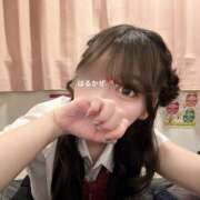 ヒメ日記 2025/07/05 17:14 投稿 はるかぜ 2980円