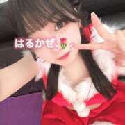 ヒメ日記 2025/12/21 19:05 投稿 はるかぜ 2980円