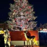 ヒメ日記 2024/12/23 22:20 投稿 しおん SPIN(スピン)