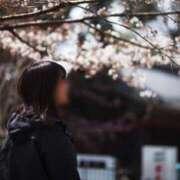 ヒメ日記 2025/05/16 13:29 投稿 つきひ 新宿プチドール