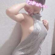 ヒメ日記 2026/01/29 12:17 投稿 つきひ 新宿プチドール