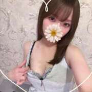 ヒメ日記 2026/03/29 01:09 投稿 つきひ 新宿プチドール