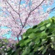 ヒメ日記 2026/03/09 21:59 投稿 萩原ふみえ お姉さんLABO -艶-