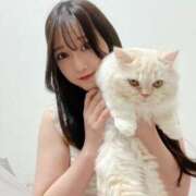 ヒメ日記 2025/04/24 02:26 投稿 コスモス ギャルズネットワーク神戸