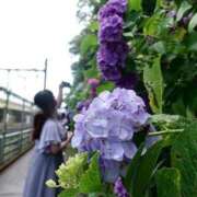 ヒメ日記 2025/07/03 20:26 投稿 ゆに ぼくらのデリヘルランドin久喜店