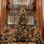 ヒメ日記 2024/12/21 23:40 投稿 みれい★ 恵里亜(エリア)