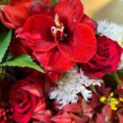 ヒメ日記 2025/01/06 01:37 投稿 みれい★ 恵里亜(エリア)