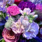 ヒメ日記 2025/03/08 12:34 投稿 みれい★ 恵里亜(エリア)