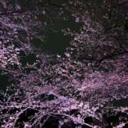 ヒメ日記 2025/03/22 02:20 投稿 みれい★ 恵里亜(エリア)