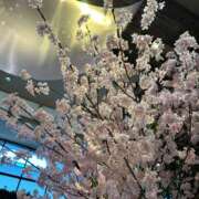 ヒメ日記 2025/04/08 17:35 投稿 みれい★ 恵里亜(エリア)