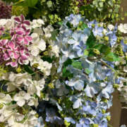 ヒメ日記 2025/06/30 14:23 投稿 みれい★ 恵里亜(エリア)