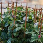 ヒメ日記 2025/07/06 14:45 投稿 みれい★ 恵里亜(エリア)