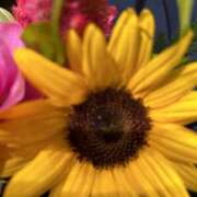 ヒメ日記 2025/08/27 15:38 投稿 みれい★ 恵里亜(エリア)