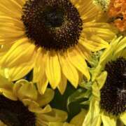 ヒメ日記 2025/08/31 14:41 投稿 みれい★ 恵里亜(エリア)