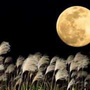 ヒメ日記 2025/10/07 16:05 投稿 みれい★ 恵里亜(エリア)