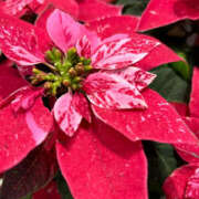 ヒメ日記 2025/11/30 21:18 投稿 みれい★ 恵里亜(エリア)