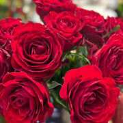 ヒメ日記 2025/12/17 21:41 投稿 みれい★ 恵里亜(エリア)