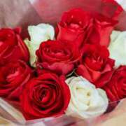 ヒメ日記 2025/12/28 16:35 投稿 みれい★ 恵里亜(エリア)