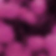 ヒメ日記 2026/01/30 15:16 投稿 みれい★ 恵里亜(エリア)