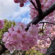 ヒメ日記 2026/02/19 15:34 投稿 みれい★ 恵里亜(エリア)