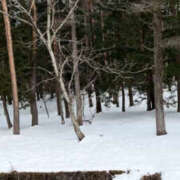 ヒメ日記 2026/02/23 01:09 投稿 みれい★ 恵里亜(エリア)