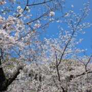 ヒメ日記 2026/04/05 09:00 投稿 みれい★ 恵里亜(エリア)